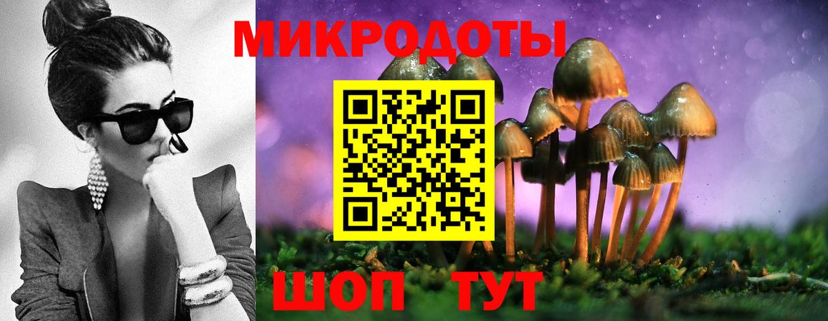 Волгоград  Псилоцибиновые грибы Psilocybine cubensis  цены   Вход с VPN  Галлюциногенные грибы Psilocybe 
